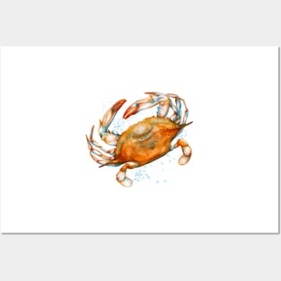 Watercolor soft shell crab Posters and Art